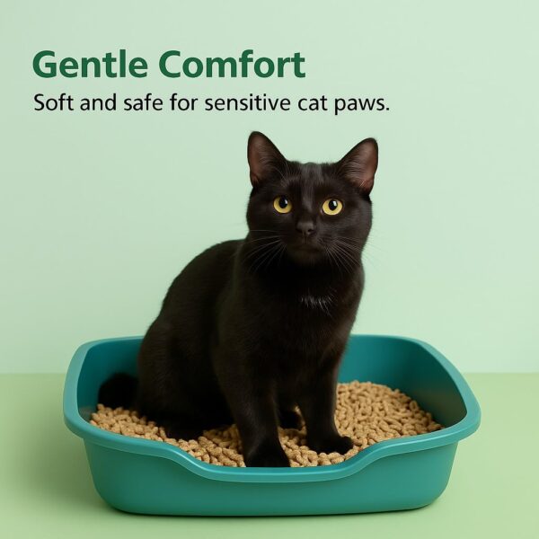 Bravo & Co. EcoLit Wooden Cat Litter 5kg | Chemical-Free, Eco-Friendly & Sustainable | Odor Elimination & High Absorption | Dust-Free Litter for Multiple Cats | Comfortable & Easy Cleanup