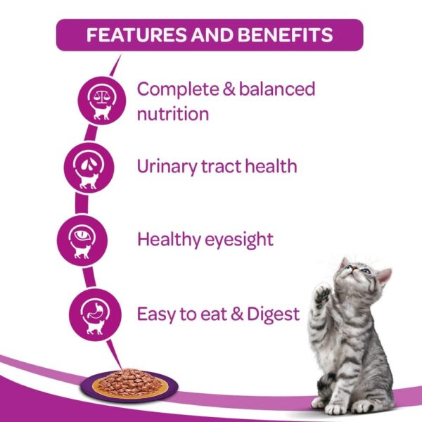 61kt2hRTLlL._SL1000_.jpg whiskas Wet Meal Adult Cat Food - Tuna In Jelly, 85G Pouch, 1 Count