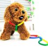 Sage Square Rainbow Colour Weave Nylon Pet Rope Dog Harness Training Walking Leash (Medium)