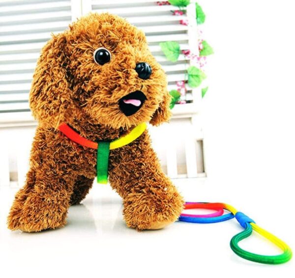 Sage Square Rainbow Colour Weave Nylon Pet Rope Dog Harness Training Walking Leash (Medium)