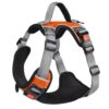 PetVogue Dog Harness With 3M Reflective|X Large Size No Pull PetVogue Dog Harness With 3M Reflective|X Large Size No Pull Adjustable Dog Body Belt|Reflective Dog Vest Oxford Fabric|Soft Padded Easy Control Dog Chest Neck Belt|No More Pulling Or Choking|, Orange