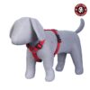 61lX-5vggS._SL1000_.jpg Pets Like Poly Body Belt, Red (Medium)
