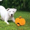 61lZ8CKAzL._SL1081_.jpg 2 in 1 Beehive Puzzle Plush Toy with 3 Detachable Bees for Dogs | Animal Soft Toys | Stuff Toy