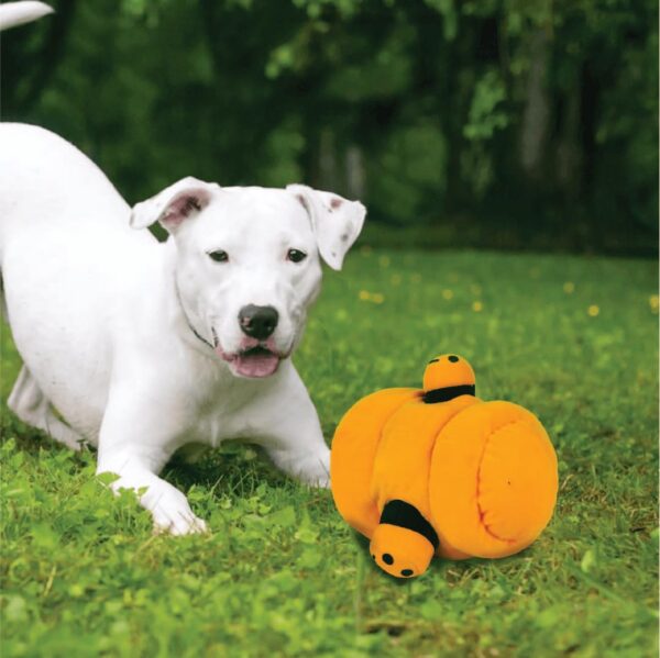 61lZ8CKAzL._SL1081_.jpg 2 in 1 Beehive Puzzle Plush Toy with 3 Detachable Bees for Dogs | Animal Soft Toys | Stuff Toy