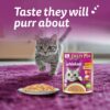 61ldYXMM94L._SL1100_.jpg Whiskas Tasty Mix Adult (1+ Year) Wet Cat Food, Tuna with Kanikama & Carrot in Gravy, 70g, Pack of 28| Made with Real Fish| Complete & Balanced Nutrition for Adult Cat