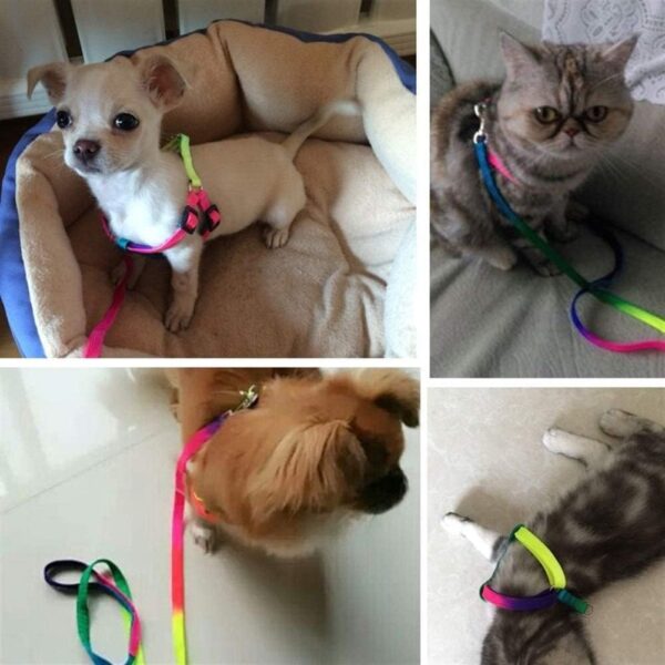 Sage Square No Pull Dog Harness and Leash Set, No Chock Puppy Step in Vest Harness Nylon Lightweight Neck&Chest Adjustable for Dogs Girls and Boy, Pet Harness for Small Medium Dogs (Rainbow Coloured)