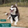 Dog Harness with Name id Customized for Dogs Large Medium Small Puppy All Breeds No Pull Harness Reflective Vest Harness Belt Adjustable with Personalized Dog Name (Black) (Large Dogs)