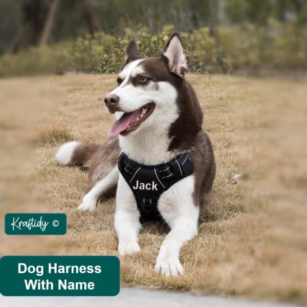 Dog Harness with Name id Customized for Dogs Large Medium Small Puppy All Breeds No Pull Harness Reflective Vest Harness Belt Adjustable with Personalized Dog Name (Black) (Large Dogs)