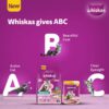 61mOJBUqWOL._SL1001_.jpg Whiskas Persian Kitten (2-12 Months) Dry Cat Food, 1.1kg, 100% Complete & Balanced Tailor Made Nutrition, Reduces Hairfall, for Healthy Coat & Skin