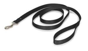MUNCHOS Nylon 1.25 inchi Leash for Medium Dogs (Colour May MUNCHOS Nylon 1.25 inchi Leash for Medium Dogs (Colour May Vary)