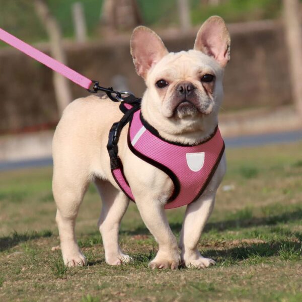 Heart Home Reflective Dog Harness With Adjustable Leash|Breathable Polyester Mesh Heart Home Reflective Dog Harness With Adjustable Leash|Breathable Polyester Mesh Fabric With Top carry Handle|Small Size|HAT-818|Comfortable No-Pull Grip|Quick Release Buckles|Stylish Design|Pink