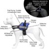 Customized Dog Vest Harness with Pet Name, Personalized Dog Belt with Dog Name, No Pull Harness Reflective .Best for 11-23kg Dogs. (Retro - Combo, Medium)