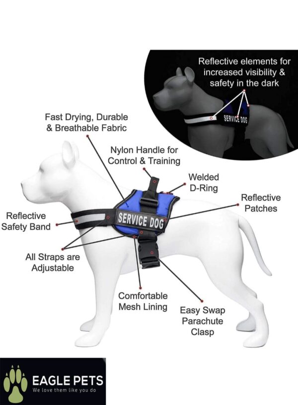 Customized Dog Vest Harness with Pet Name, Personalized Dog Belt with Dog Name, No Pull Harness Reflective .Best for 11-23kg Dogs. (Retro - Combo, Medium)