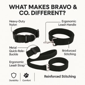 Bravo & Co. Adjustable Dog Collar & Leash Set | Heavy-Duty Durable Nylon Dog Collar with Metal Buckle | for Small, Medium & Large Dogs | Ideal for Training & Outdoor Walks | Black, M (2.5 CM)