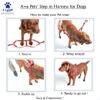 A+a Pets' Step in Harness for Dogs Cats Puppies in Soft Nylon Waterproof Material (Pirate Design, Medium, Sky Blue)