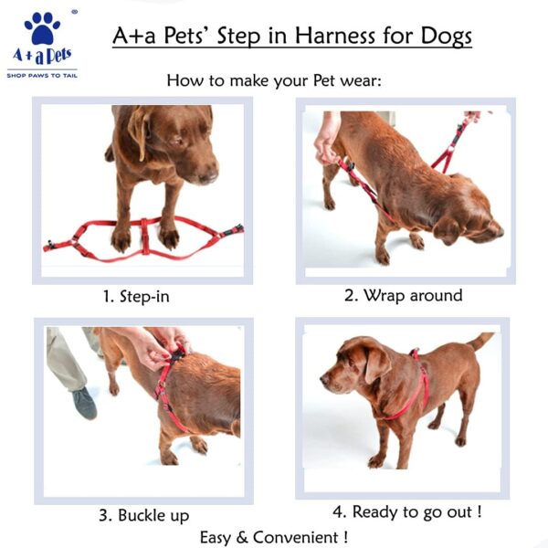 A+a Pets' Step in Harness for Dogs Cats Puppies in Soft Nylon Waterproof Material (Pirate Design, Medium, Sky Blue)