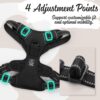 No-Pull Dog Harness with Custom Name Tag | Adjustable Reflective Pet Vest for Medium & Large Dogs | Soft Padded, Front & Back Leash Clip (Midnight Black, Medium)