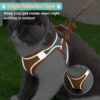 61mqlClNRwL._SL1024_.jpg Qpets® Cat Harness with Leash for Walking, Adjustable Soft Sturdy Faux Suede Escape Proof Kitten Vest Harness and Leash with Reflective Strip for Large Medium Small Cat(Green, Orang, M)