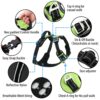Dog Harness No Pull Harness 3M Reflective Dog Belt for Small Medium Large Dogs Easy Control Dog Chest Belt - No More Pulling or Choking (Small, Neon Green)