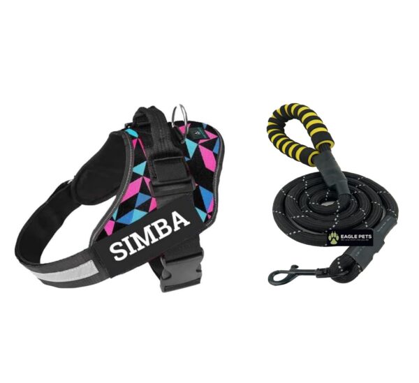 Customized Dog Vest Harness with Pet Name, Personalized Dog Belt with Dog Name, No Pull Harness Reflective .Best for 11-23kg Dogs. (Retro - Combo, Medium)
