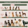 61oMPBTSzfL._SL1080_.jpg Vama AIR Leash Sustainable & EcoFriendly 100% Natural Cotton Solid Brass Hook Super Durable Anti Slip Leash for Small Dogs 5 Feet Long X 0.75 Inch Wide Hand Made British Racing Green