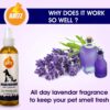 61oPWsAJTqL._SL1200_.jpg Boltz Odour and Urine Smell Remover Pet Area Freshener for Dog and Cat with Lavender Fragrance (200 ml), 1 Piece