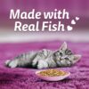 61oQiBCcaoL._SL1100_.jpg Whiskas Tasty Mix Kitten (2-12 Months) Wet Cat Food, Chicken, Tuna with Sweet Potato in Gravy, 70 g x 14, 100% Complete & Balanced Nutrition for Kittens