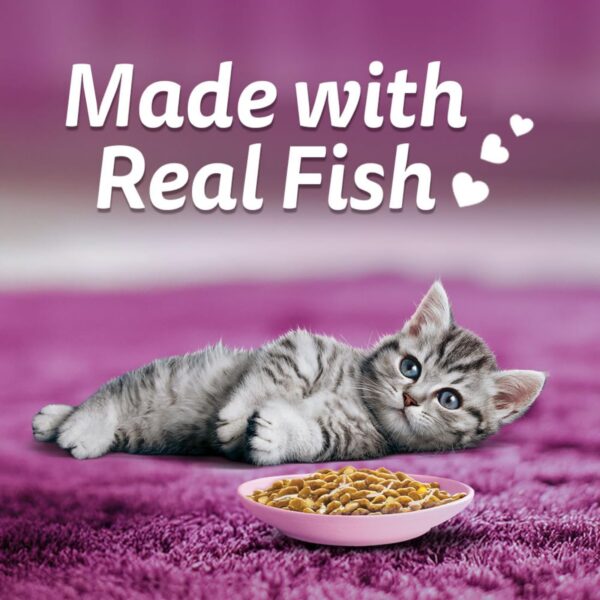 61oQiBCcaoL._SL1100_.jpg Whiskas Tasty Mix Kitten (2-12 Months) Wet Cat Food, Chicken, Tuna with Sweet Potato in Gravy, 70 g x 14, 100% Complete & Balanced Nutrition for Kittens