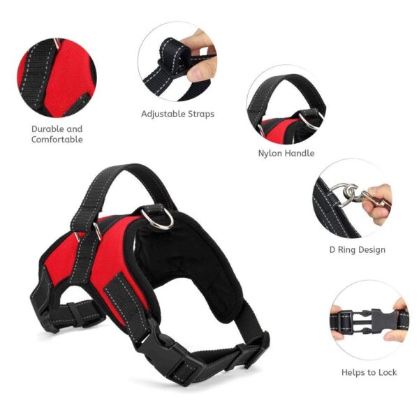 PSK PET MART Dog Harness Adjustable Vest Chest Belts (54-70Cm Neck,63-84Cm Girth) Dog Standard Harness (Large, Red) and Dog Leash 15mm(Color May Vary)