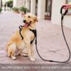 Boltz Heavy Duty Nylon Night Reflective Leash 5 Feet, ½ Inch Thick Reflective Training Rope for Small, Medium and Large Dogs, Strong and Durable Padded Handle & Night Reflective Leash (5 Feet, Black)