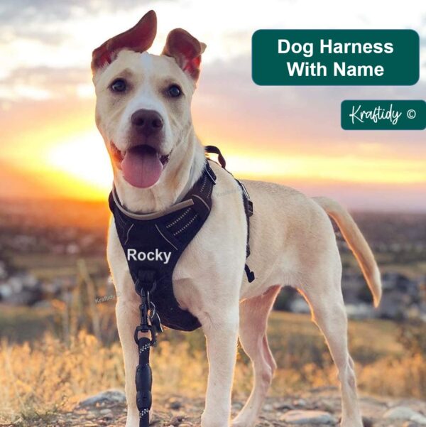 Dog Harness with Name id Customized for Dogs Large Medium Small Puppy All Breeds No Pull Harness Reflective Vest Harness Belt Adjustable with Personalized Dog Name (Black) (Large Dogs)