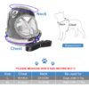 61ooaTyDK5L._SL1024_.jpg Qpets® Dog Vest Harness for Large Dogs with 1.2m Leash, Breathable Mesh Fabric, Reflective Strips, Adjustable Size (XL, Red)