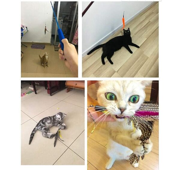 Sunkizzrs® Interactive Feather Toy Set - Activity Toys for Kittens - Wand to Exercise Cats - Stick Toy for Indoor Cats (Blue)