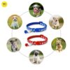 YellowCult Dog/Cat Collar Leash Set with Adjustable Soft Nylon Paw Print Pet Collar for Cats, Puppies, Small Dogs, Fat Rabbits Walking Training, Bell & Quick Release Buckle Safety Lock -[Pink]