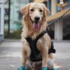 Dog Harness Tactical Dog Reflective Vest with Leash Pet Harness Military Standard Grade Material All Dog Breeds (Medium)