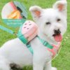 Qpets® Dog Harness Vest, Cute Puppy Pet Harness with Removable Zipper Pouch & Dogs Leash, 4-Way Adjustable Dog Vest Harness Quick Release for Small Dog Cat Harness (S, Neck 32-40cm, Bust 43-51cm)