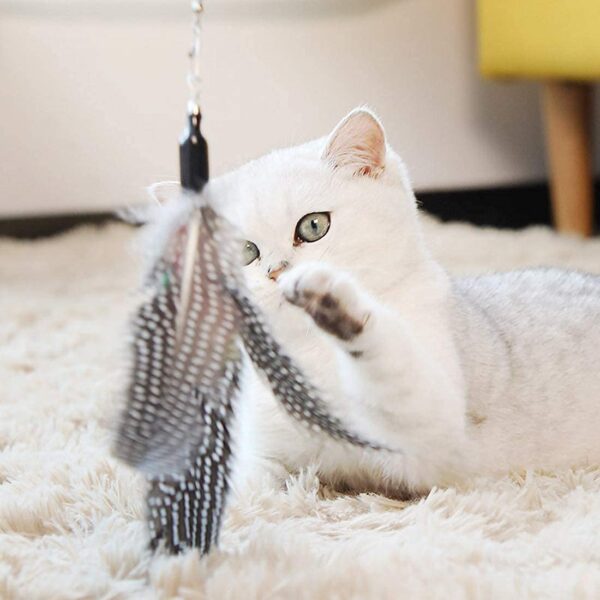 Sunkizzrs® Interactive Feather Toy Set - Activity Toys for Kittens - Wand to Exercise Cats - Stick Toy for Indoor Cats (Blue)