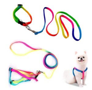 Sage Square No Pull Dog Harness and Leash Set, No Sage Square No Pull Dog Harness and Leash Set, No Chock Puppy Step in Vest Harness Nylon Lightweight Neck&Chest Adjustable for Dogs Girls and Boy, Pet Harness for Small Medium Dogs (Rainbow Coloured)