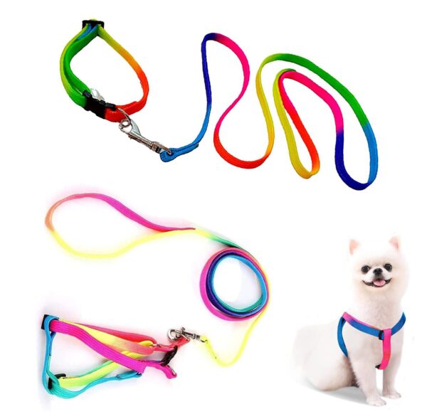 Sage Square No Pull Dog Harness and Leash Set, No Chock Puppy Step in Vest Harness Nylon Lightweight Neck&Chest Adjustable for Dogs Girls and Boy, Pet Harness for Small Medium Dogs (Rainbow Coloured)