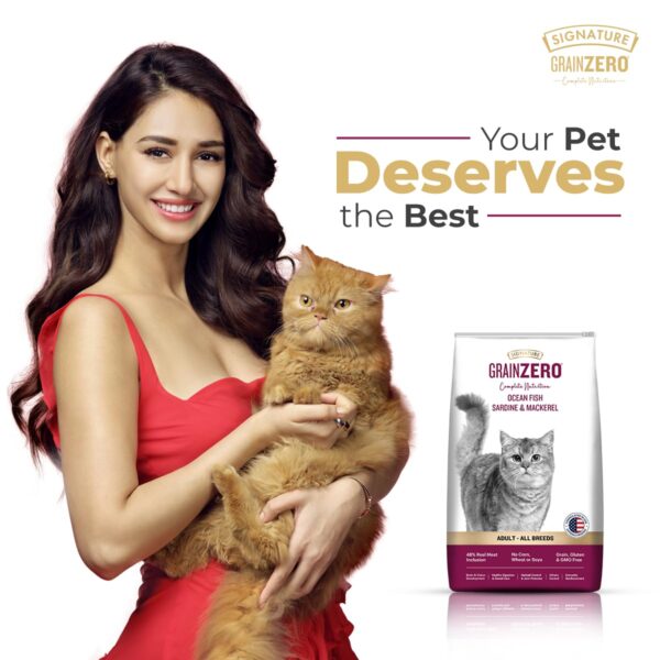 61qRHjYGCYL._SL1200_.jpg Grain Zero Adult Dry Cat Food 1.2kg | Ocean Fish, Sardine & Mackerel | 48% Fresh Fish Inclusion, No Grain Formula, Gluten-Free | Promotes Healthy Skin & Coat | All Breeds