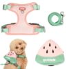 Qpets® Dog Harness Vest, Cute Puppy Pet Harness with Removable Zipper Pouch & Dogs Leash, 4-Way Adjustable Dog Vest Harness Quick Release for Small Dog Cat Harness (S, Neck 32-40cm, Bust 43-51cm)