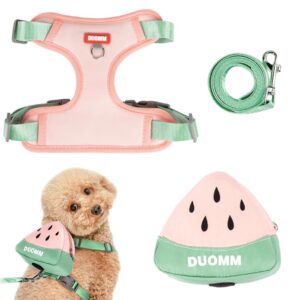 Qpets® Dog Harness Vest, Cute Puppy Pet Harness with Removable Qpets® Dog Harness Vest, Cute Puppy Pet Harness with Removable Zipper Pouch & Dogs Leash, 4-Way Adjustable Dog Vest Harness Quick Release for Small Dog Cat Harness (S, Neck 32-40cm, Bust 43-51cm)