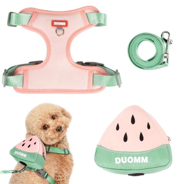 Qpets® Dog Harness Vest, Cute Puppy Pet Harness with Removable Zipper Pouch & Dogs Leash, 4-Way Adjustable Dog Vest Harness Quick Release for Small Dog Cat Harness (S, Neck 32-40cm, Bust 43-51cm)