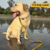 Zoomies Dog Unisex Biothane 5ft Leash Waterproof Odour-Free with Rust-Proof 360° Swivel Hook Lightweight Durable Strap for Outdoor Walks Training and Everyday Use - Yellow (ZYBL000L)