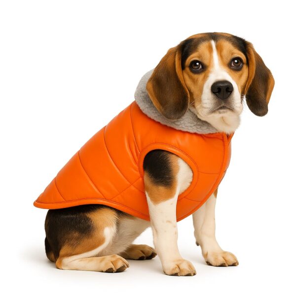 61r9YThgxML._SL1103_.jpg The Pets Company Dog Winter Coat Jacket, Clothes, Windproof, Waterproof, Light Weight, Washable, Ultra Warm Thick Fleece Lined Dog Vest for Cold Weather Protection, (Orange, Medium - 20 Inch)