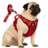 Premium Reflective Dog Vest Harness| Soft Breathable| Padded Handle| Adjustable Straps & Luxury Buckle| No-Choke with Free Designer Leash-19mm| Chest (13-22 inch) All Small Breeds 4-13 Kg