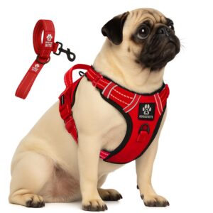 Premium Reflective Dog Vest Harness| Soft Breathable| Padded Handle| Adjustable Premium Reflective Dog Vest Harness| Soft Breathable| Padded Handle| Adjustable Straps & Luxury Buckle| No-Choke with Free Designer Leash-19mm| Chest (13-22 inch) All Small Breeds 4-13 Kg