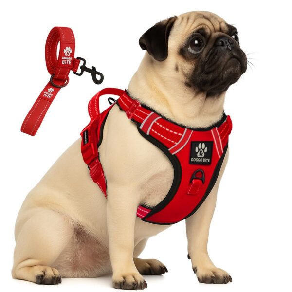 Premium Reflective Dog Vest Harness| Soft Breathable| Padded Handle| Adjustable Straps & Luxury Buckle| No-Choke with Free Designer Leash-19mm| Chest (13-22 inch) All Small Breeds 4-13 Kg