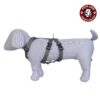 61rMmV7E-cS._SL1000_.jpg Petslike Double H Harness Olive Green(Size Large), Olive Green, Large, 250 g