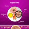 61rNPbQlI2L._SL1000_.jpg Whiskas Tasty Mix, Adult (1+ Years) Wet Cat Food with Real Fish, Chicken with Tuna and Carrot in Gravy Flavour, 12 x 70 g Pouches